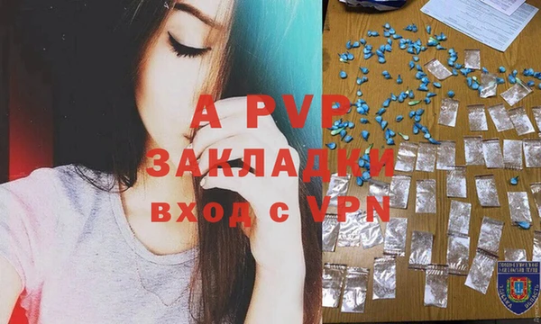 круглые Белокуриха