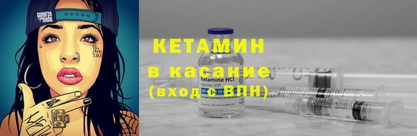 сатива Беломорск