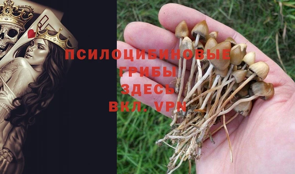 индика Балахна