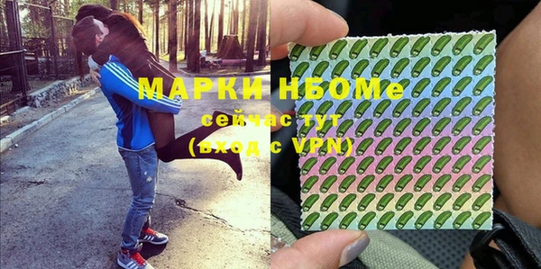 шишки Баксан