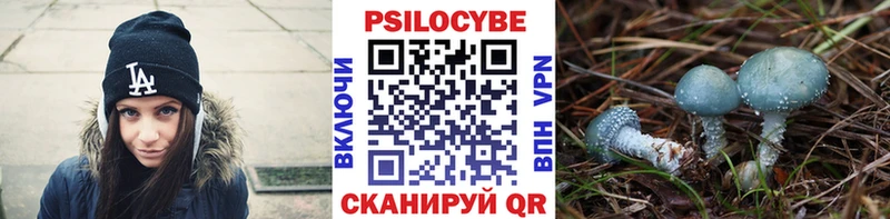 Псилоцибиновые грибы Magic Shrooms  Энем 